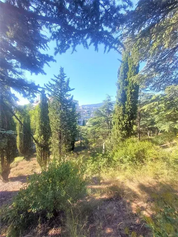 Участок в Крым, Ялта ул. Войкова, 26 (9.0 сот.) - Фото 2