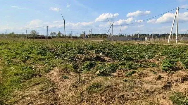 Участок в Московская область, Щелково городской округ, д. Каблуково ... - Фото 1