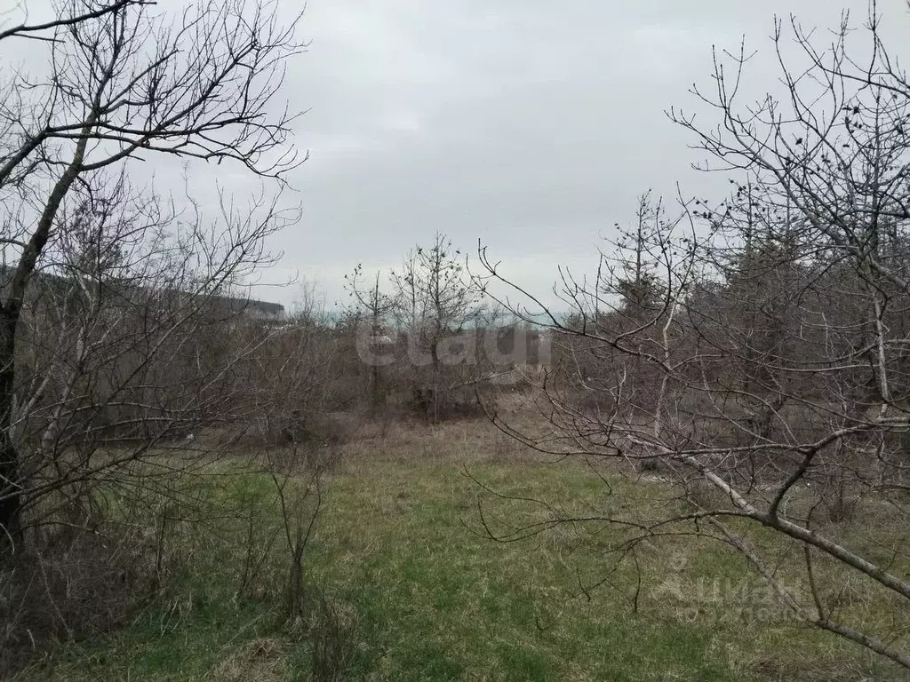 Участок в Краснодарский край, Геленджик городской округ, с. ... - Фото 1