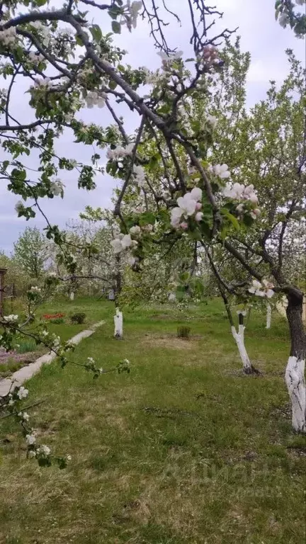 Дом в Саратовская область, Прогресс СНТ  (45 м) - Фото 1