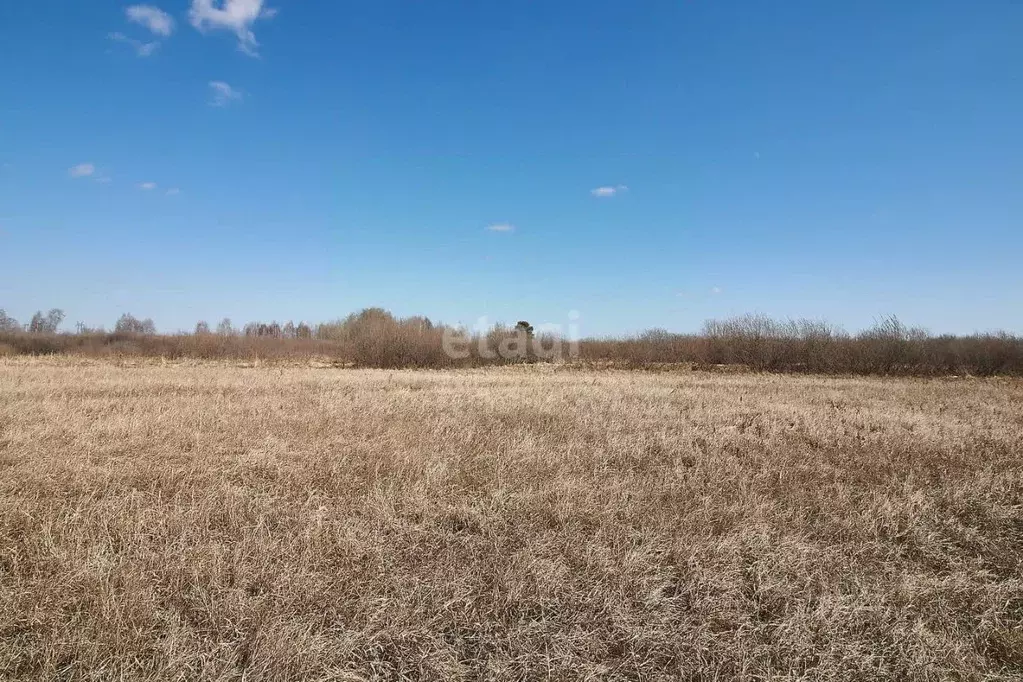 Участок в Тюменская область, Тюмень Яровское садовое товарищество,  ... - Фото 0