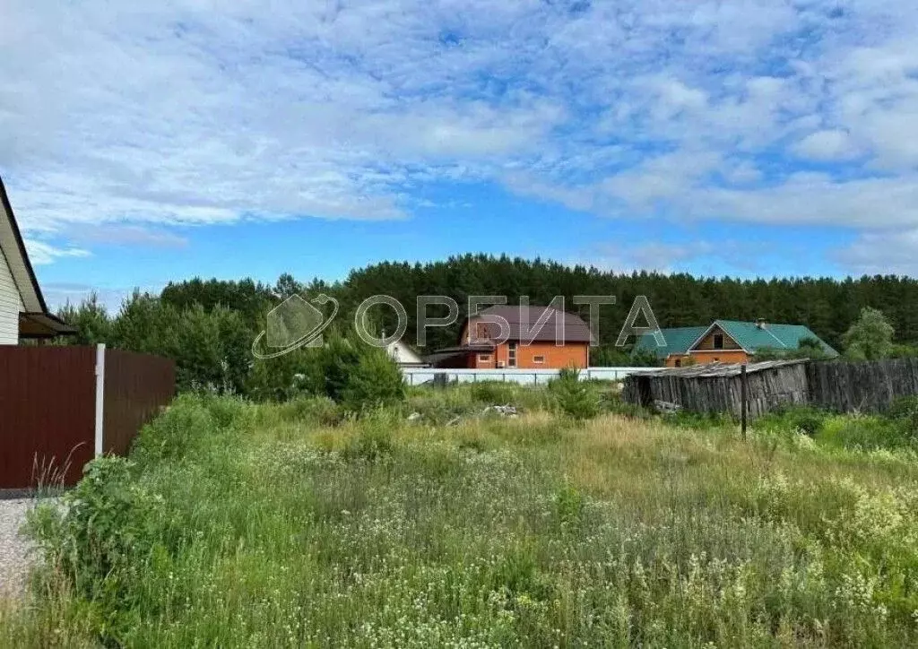 Участок в Тюменская область, Тюменский район, с. Каменка Сосновая ул. ... - Фото 1