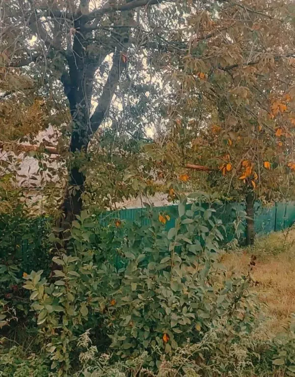 Участок в Краснодарский край, Темрюкский район, Краснострельское ... - Фото 2