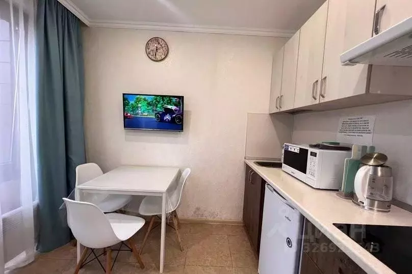 1-к кв. Краснодарский край, Сочи ул. Ленина, 219А/2 (23.0 м) - Фото 2