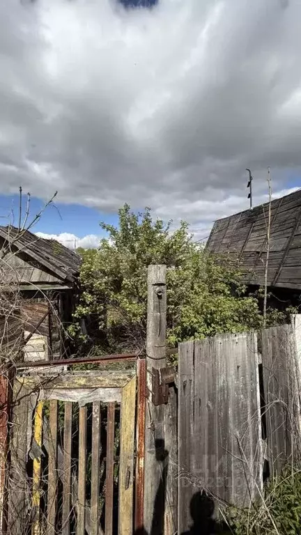 Участок в Хабаровский край, Комсомольск-на-Амуре пос. Чкаловский, ул. ... - Фото 1
