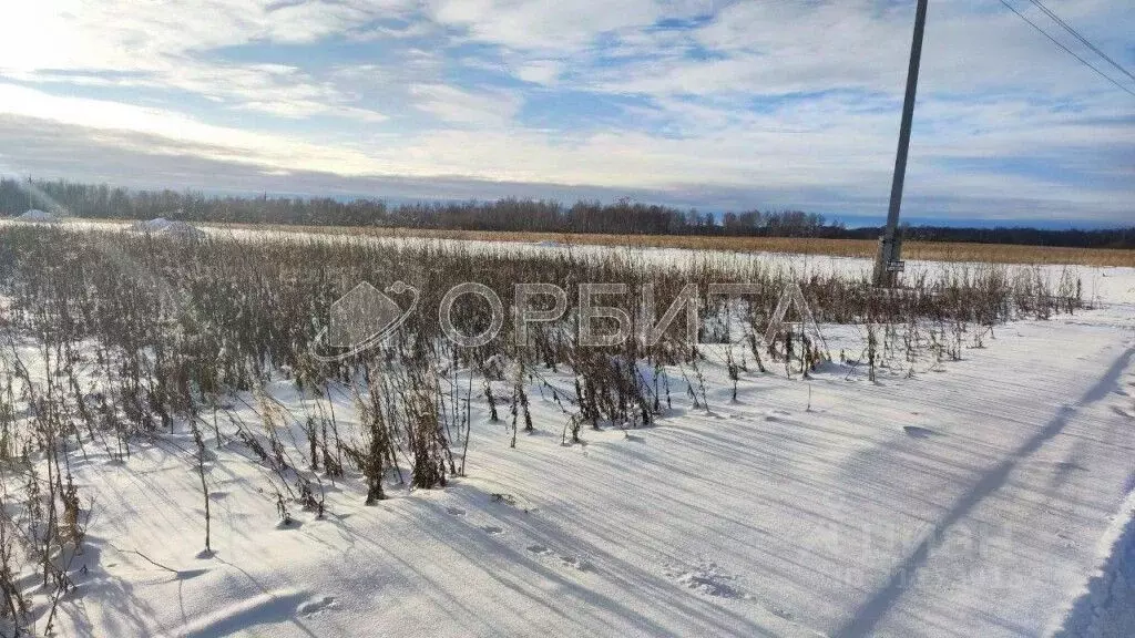 Участок в Тюменская область, Тюменский район, с. Горьковка  (6.37 ... - Фото 1