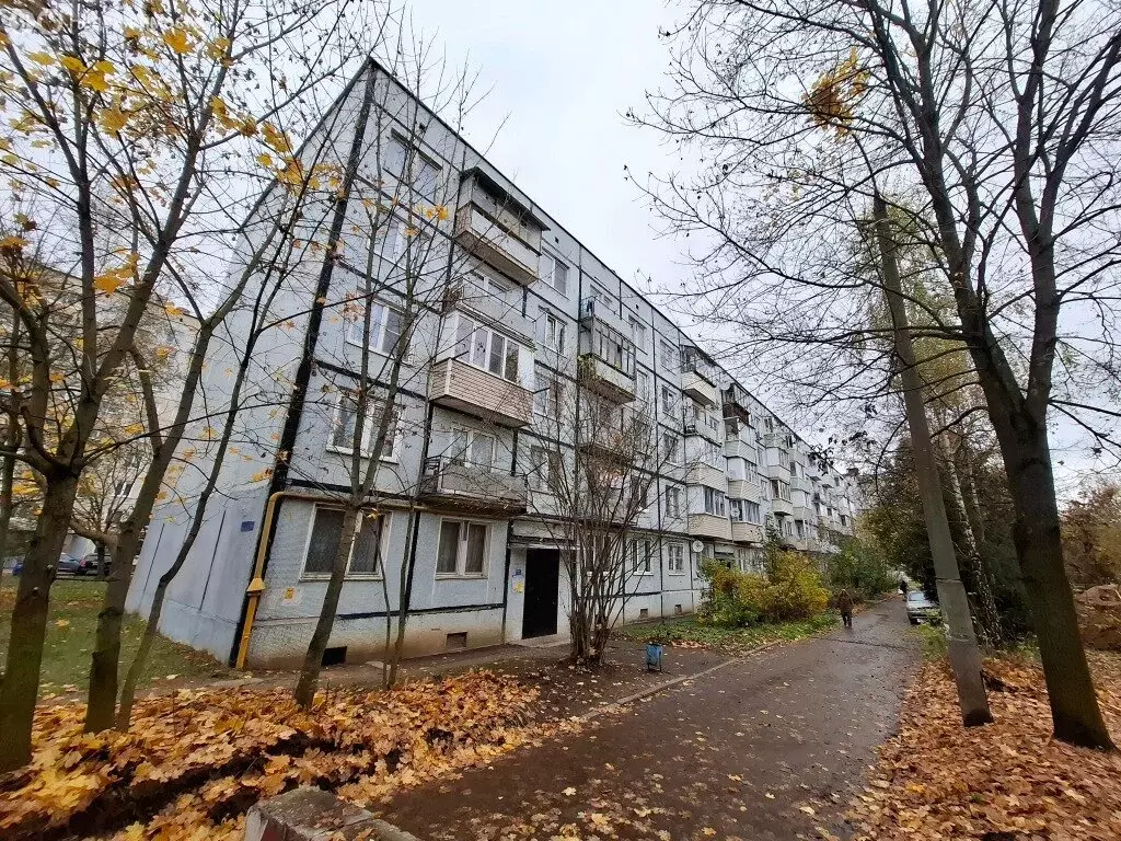 1-комнатная квартира: Старый Городок, Заводская улица, 10 (31.3 м) - Фото 0