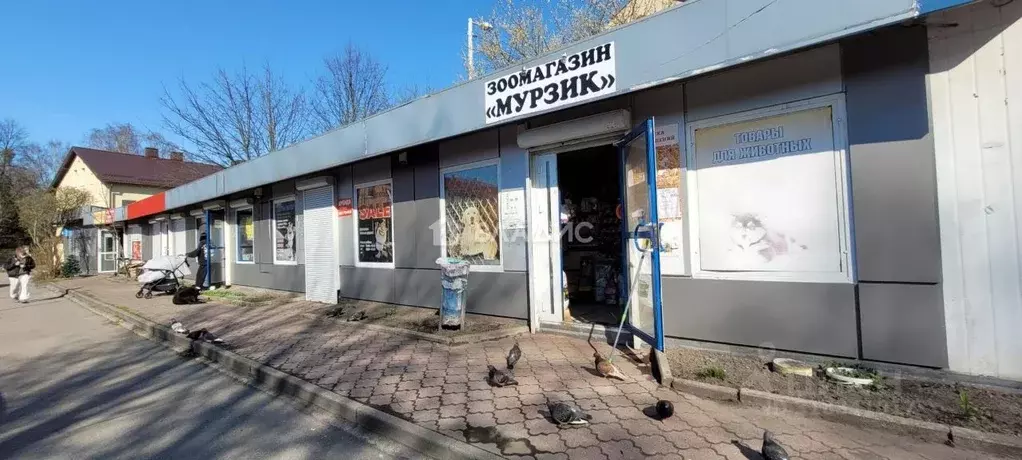 Торговая площадь в Калининградская область, Калининград Беговая ул., 1 ... - Фото 0