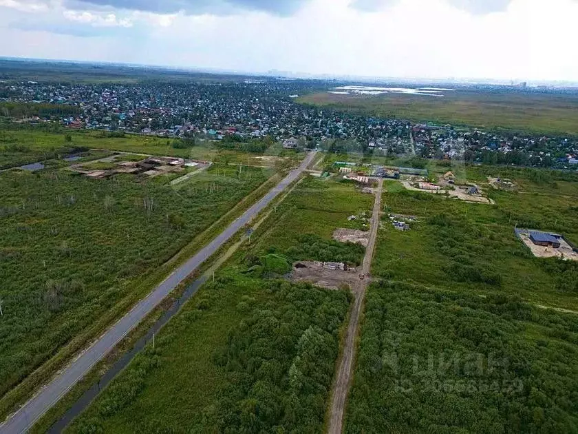 Участок в Тюменская область, Тюмень Матрешка СНТ, ул. Елисеевская, 11 ... - Фото 1