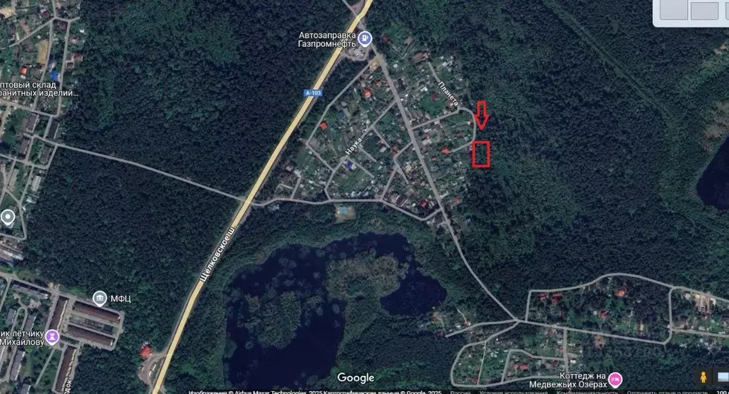 Участок в Московская область, Щелково городской округ, Планета СНТ  ... - Фото 0