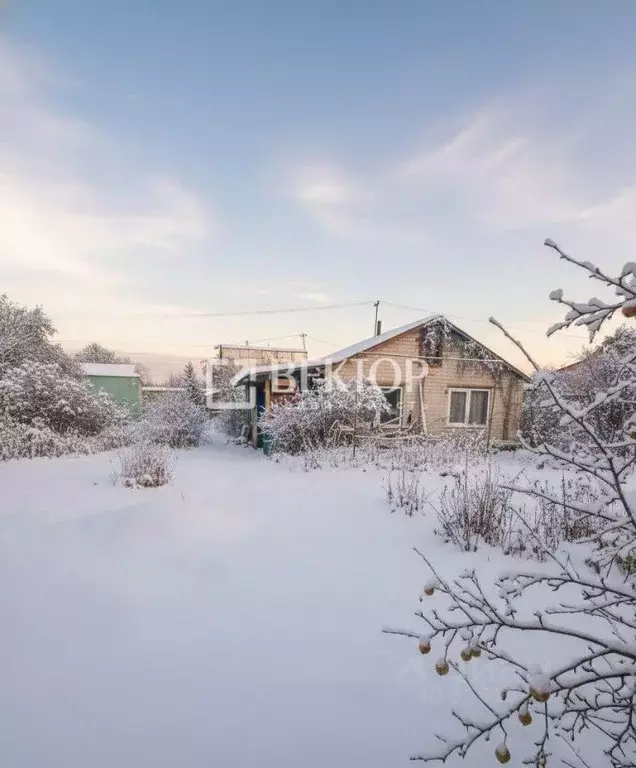 Участок в Костромская область, Кострома Юбилейное СТ, 41 (8.77 сот.) - Фото 2