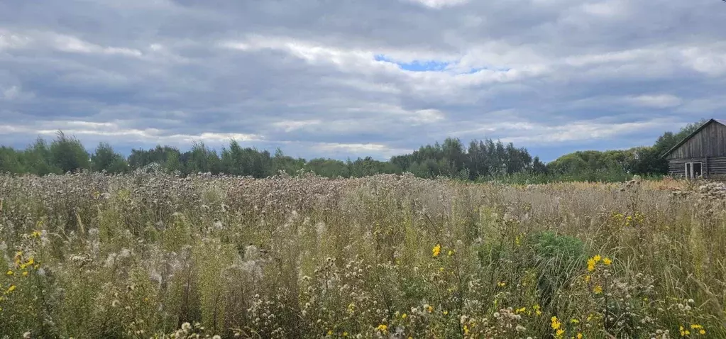 Участок в Московская область, Луховицы  (19.99 сот.) - Фото 2
