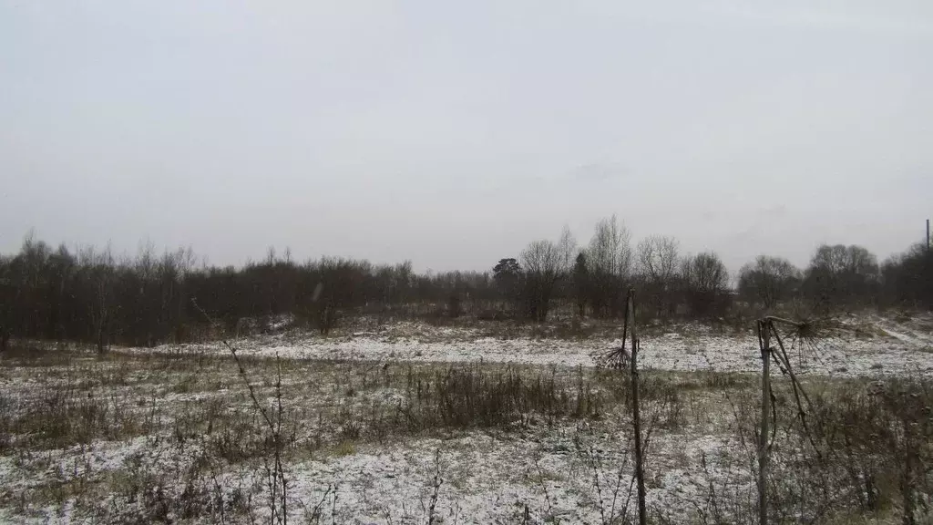 Участок в Московская область, Рузский муниципальный округ, д. Лыщиково ... - Фото 2