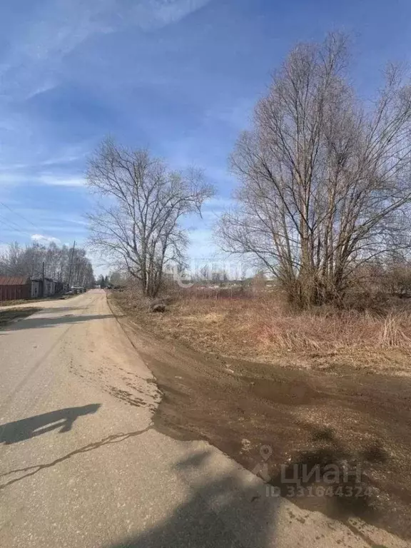 Участок в Нижегородская область, Богородский муниципальный округ, ... - Фото 1