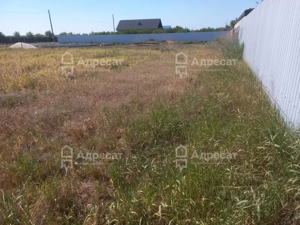 Участок в Волгоградская область, Среднеахтубинский район, Фрунзенское ... - Фото 1