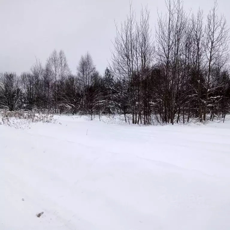 Участок в Московская область, Егорьевск муниципальный округ, д. ... - Фото 1