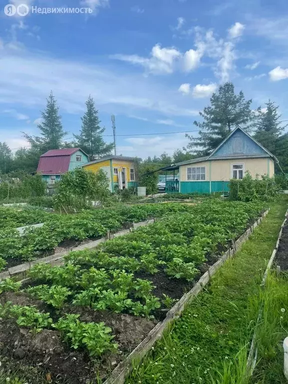 Дом в Соликамск, улица 20-летия Победы (25 м) - Фото 1