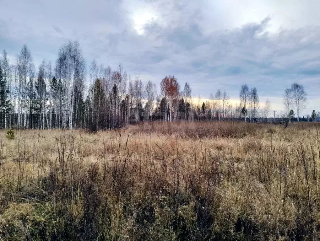 Участок в Тюменская область, Нижнетавдинский муниципальный округ, ... - Фото 1