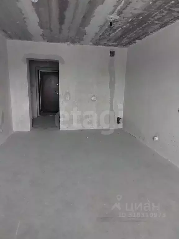 Студия Амурская область, Благовещенский район, с. Чигири ул. ... - Фото 1