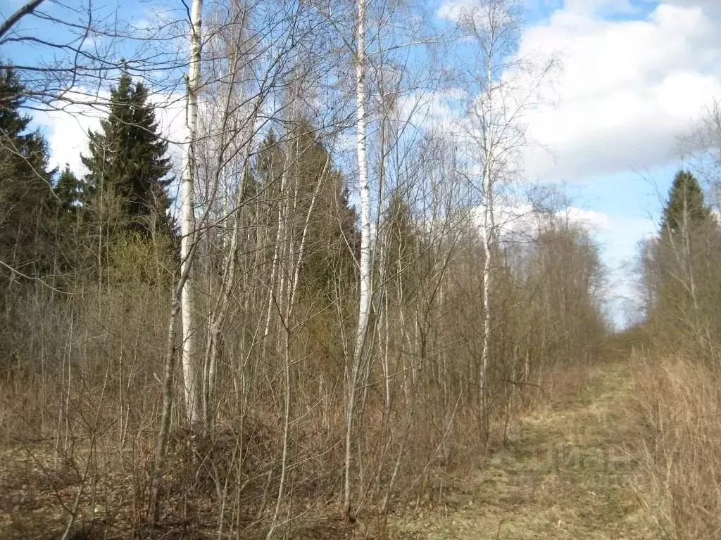 Участок в Псковская область, Пушкиногорский район, Велейская волость, ... - Фото 2