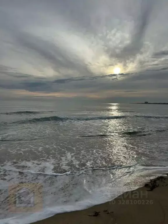 Участок в Крым, Сакский район, Молочненское с/пос, с. Витино  (5.0 ... - Фото 1