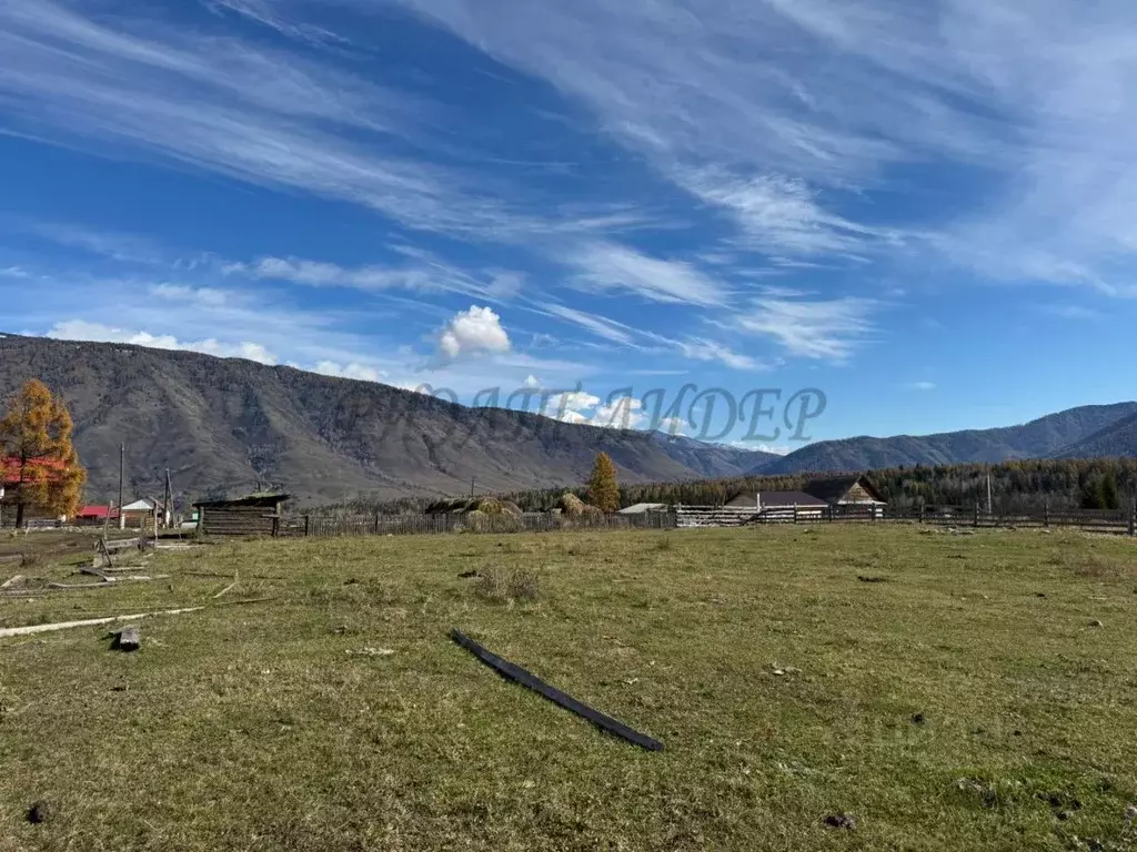 Участок в Алтай, Усть-Коксинский район, пос. Тюгурюк ул. Лесная (20.0 ... - Фото 1