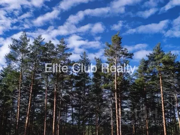 Участок в Ленинградская область, Выборгский район, Первомайское с/пос, ... - Фото 1