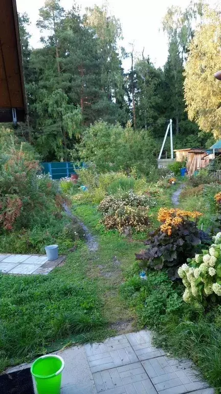 Участок в Московская область, Солнечногорск городской округ, д. ... - Фото 2
