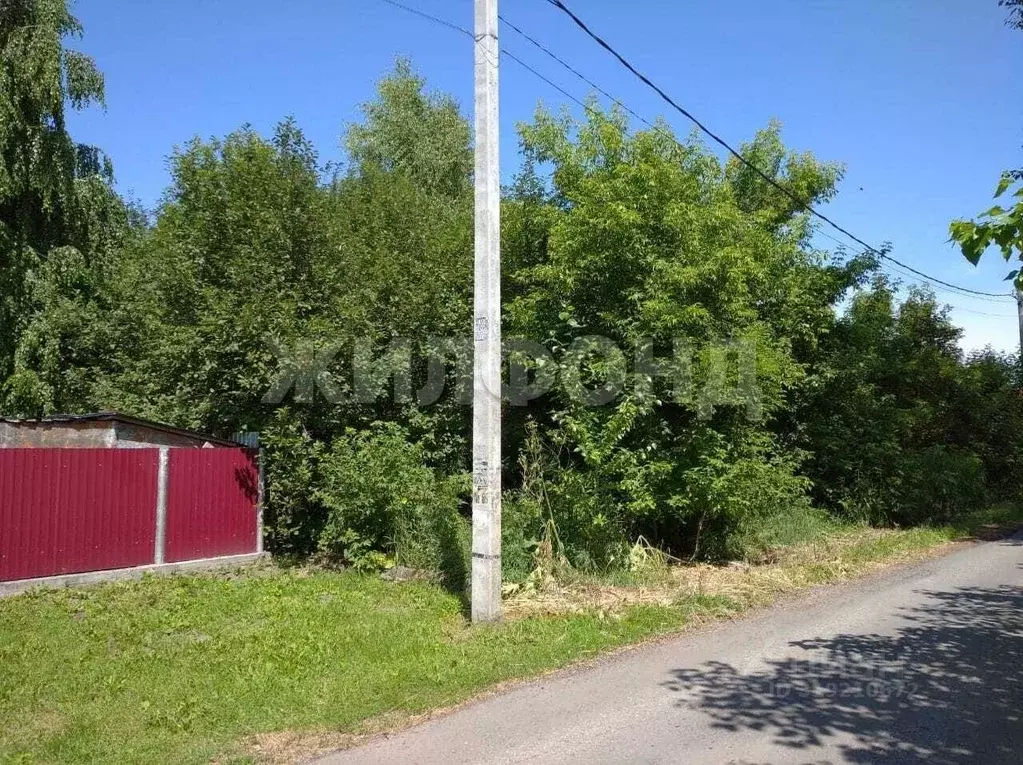 Участок в Новосибирская область, Новосибирский район, Боровской ... - Фото 0