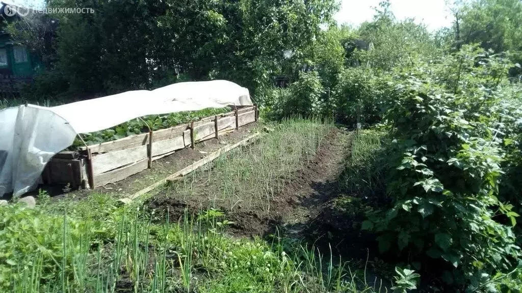 Участок в Челябинская область, Аша (4 м) - Фото 2