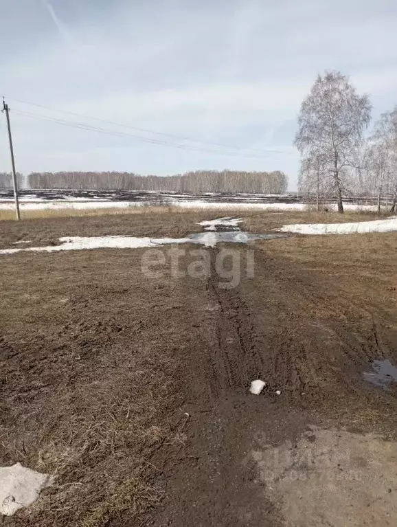 Участок в Тюменская область, с. Казанское ул. Комсомольская (12.1 ... - Фото 0