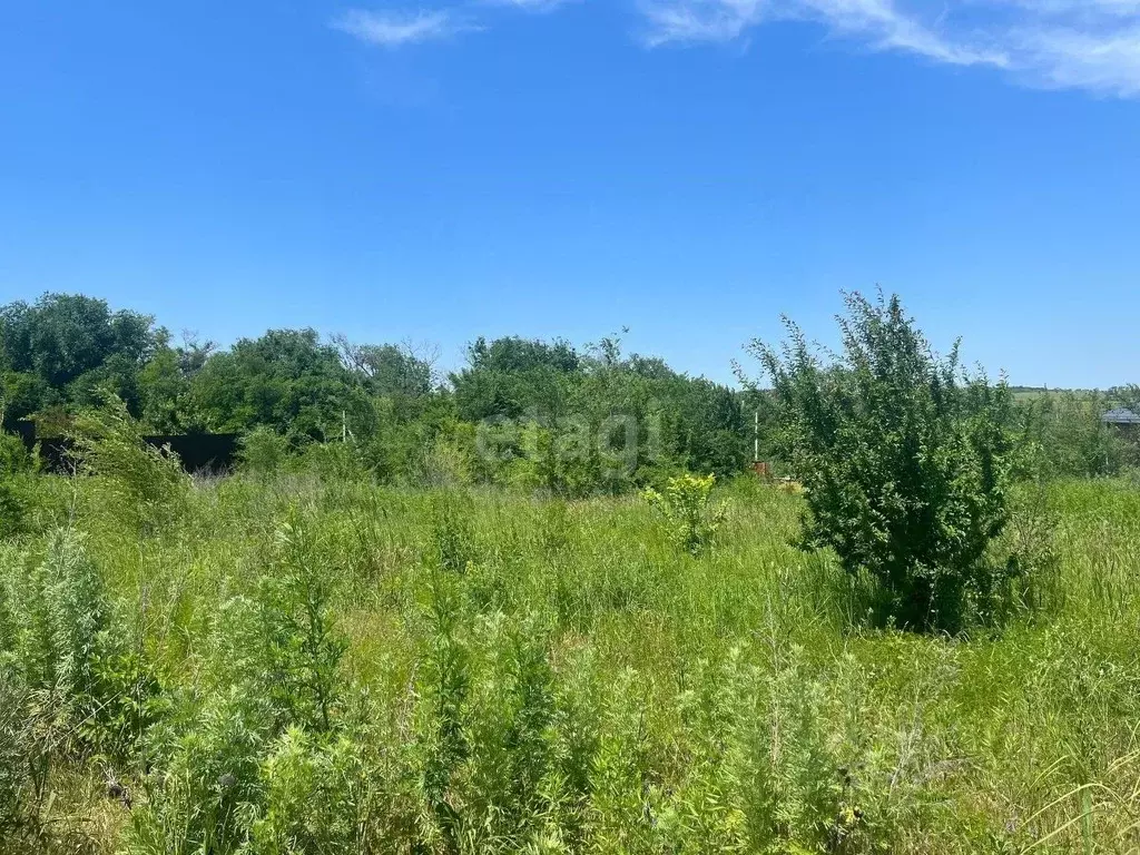 Участок в Ростовская область, Азовский район, Кагальницкое с/пос, Узяк ... - Фото 1