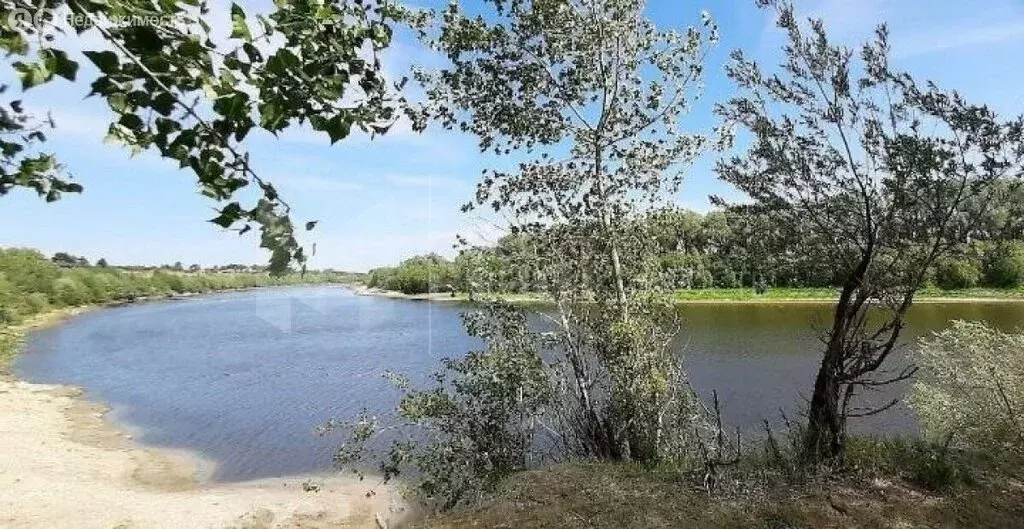 Участок в Тюменский муниципальный округ, село Щербак (44.66 м) - Фото 1