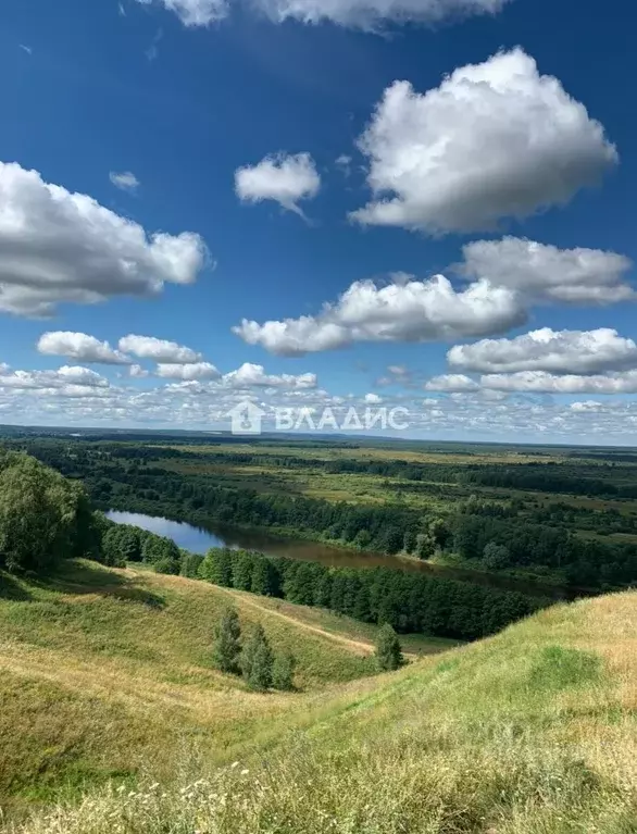 Дом в Владимирская область, Гороховецкий муниципальный округ, д. ... - Фото 1