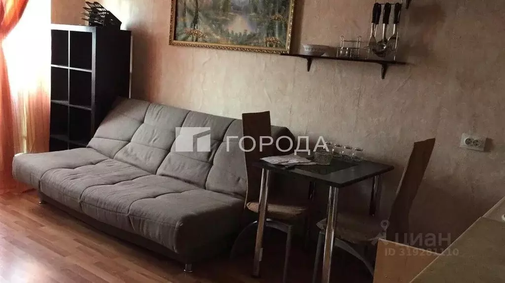 Студия Новосибирская область, Новосибирск ул. Виктора Уса, 15 (22.5 м) - Фото 0