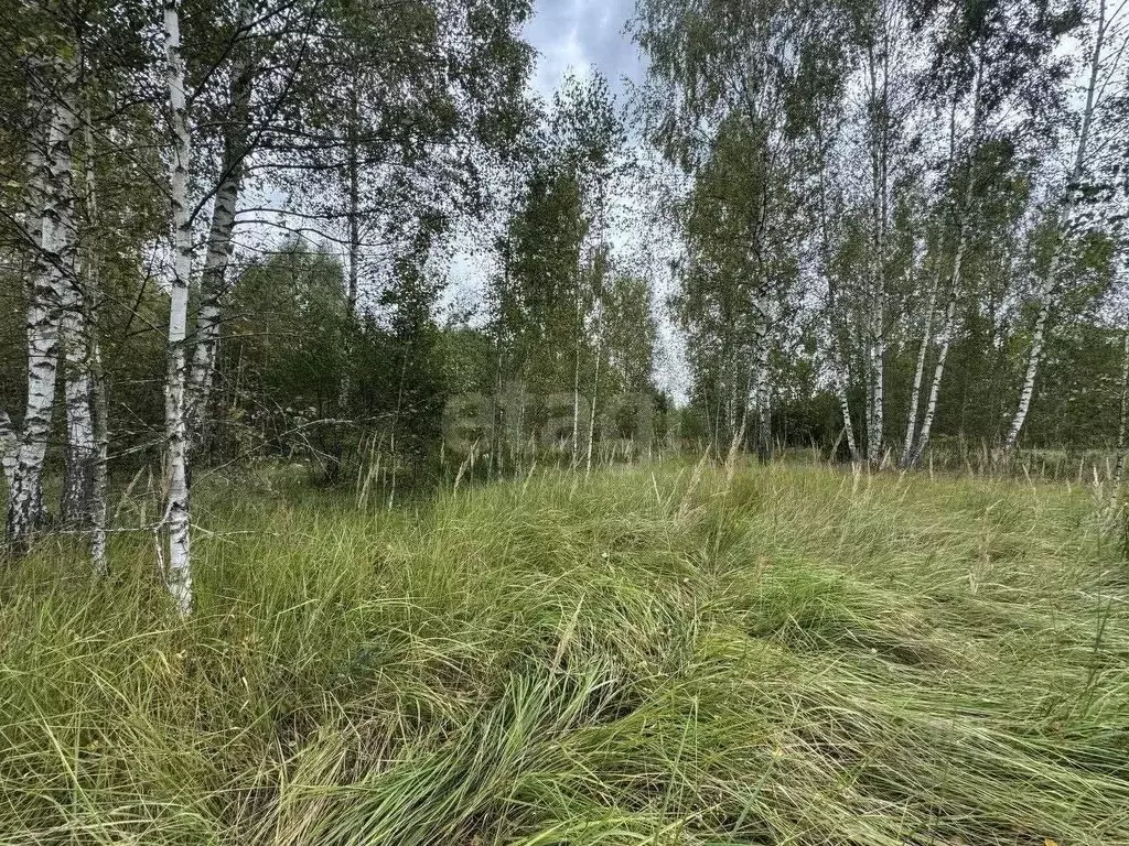 Участок в Брянская область, Брянский район, Нетьинское с/пос, д. ... - Фото 2