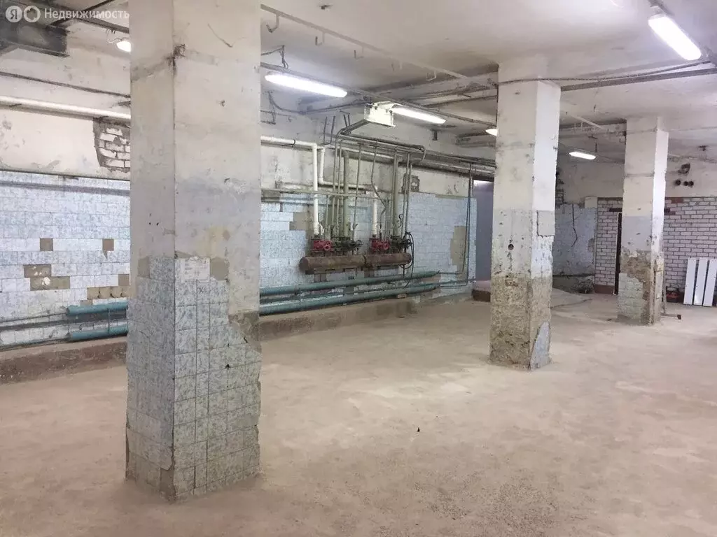 Помещение свободного назначения (223 м) - Фото 1