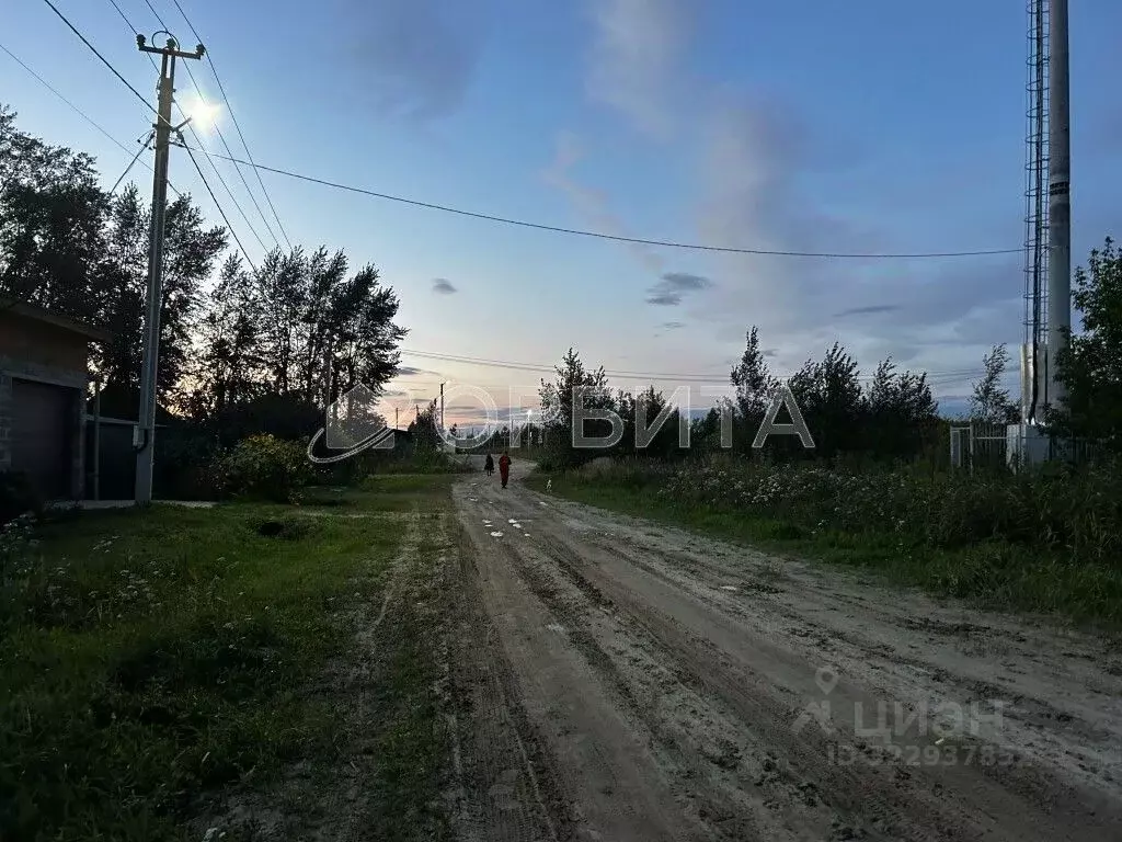 Участок в Тюменская область, Нижнетавдинский муниципальный округ, ... - Фото 1