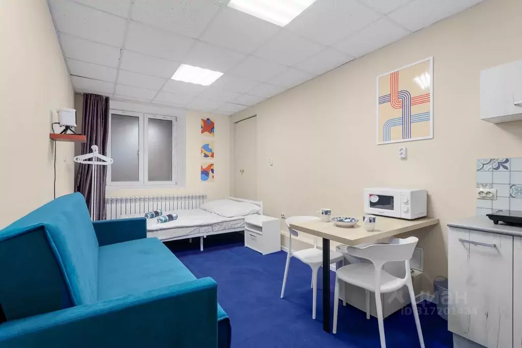 Комната Санкт-Петербург Гагаринская ул., 16 (28.0 м) - Фото 1