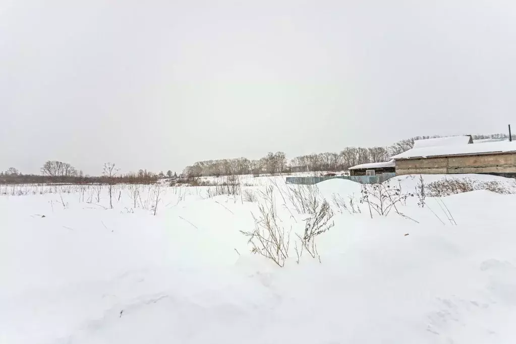 Участок в Новосибирская область, Искитимский район, пос. ... - Фото 1