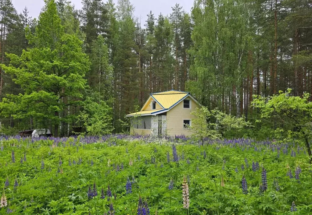 Дом в Ленинградская область, Всеволожский район, Рахьинское городское ... - Фото 0