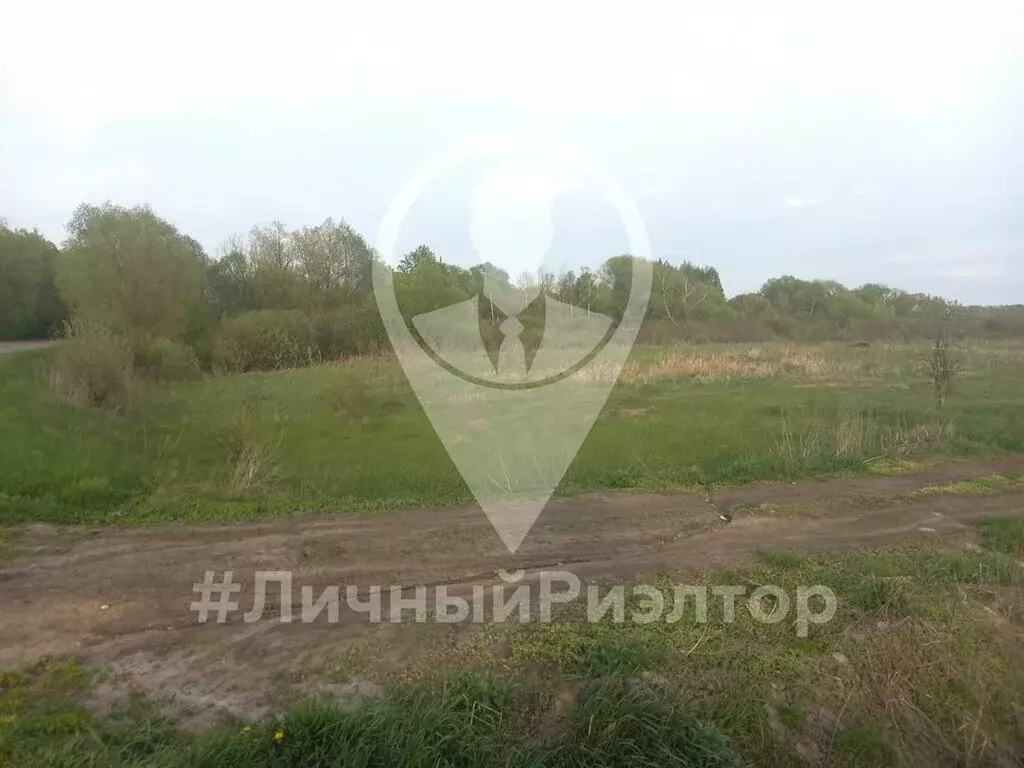 Участок в Захаровский район, Добро-Пчёльское сельское поселение, ... - Фото 0