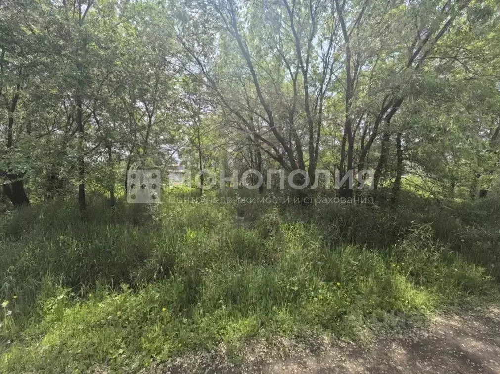 Участок в Амурская область, Белогорск Волочаевская ул. (8.0 сот.) - Фото 1