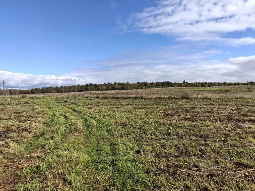 Участок в Московская область, Сергиево-Посадский городской округ, д. ... - Фото 1