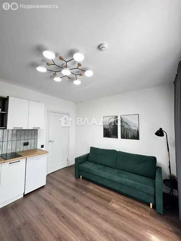 1-комнатная квартира: Санкт-Петербург, Муринская дорога, 8к1 (19 м) - Фото 1