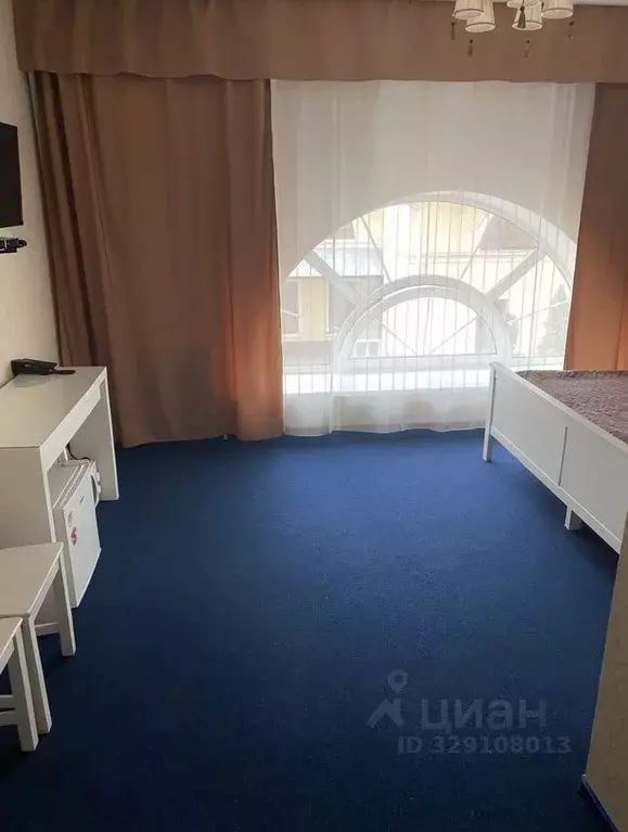 Студия Москва Бауманская ул., 58/25к8 (20.0 м) - Фото 2