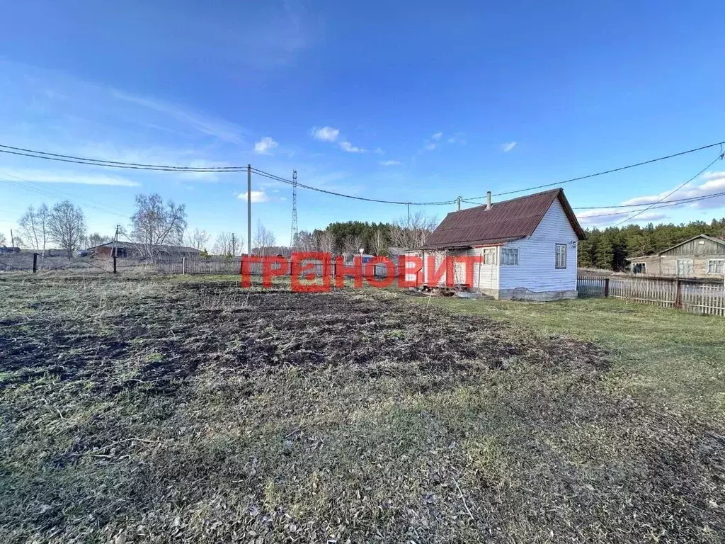 Участок в Новосибирская область, Тогучинский район, с. Усть-Каменка ... - Фото 1