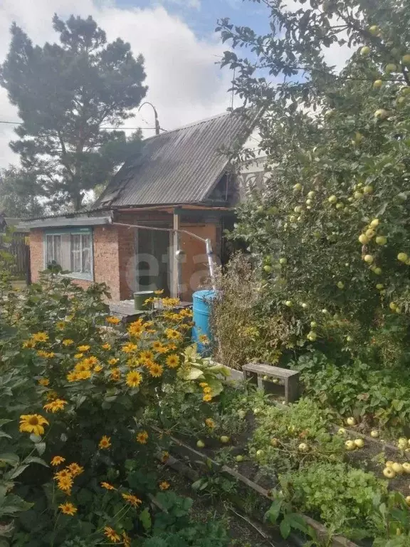 Дом в Тюменская область, Тюмень Строитель-3 СНТ, ул. Рябиновая (20 м) - Фото 0