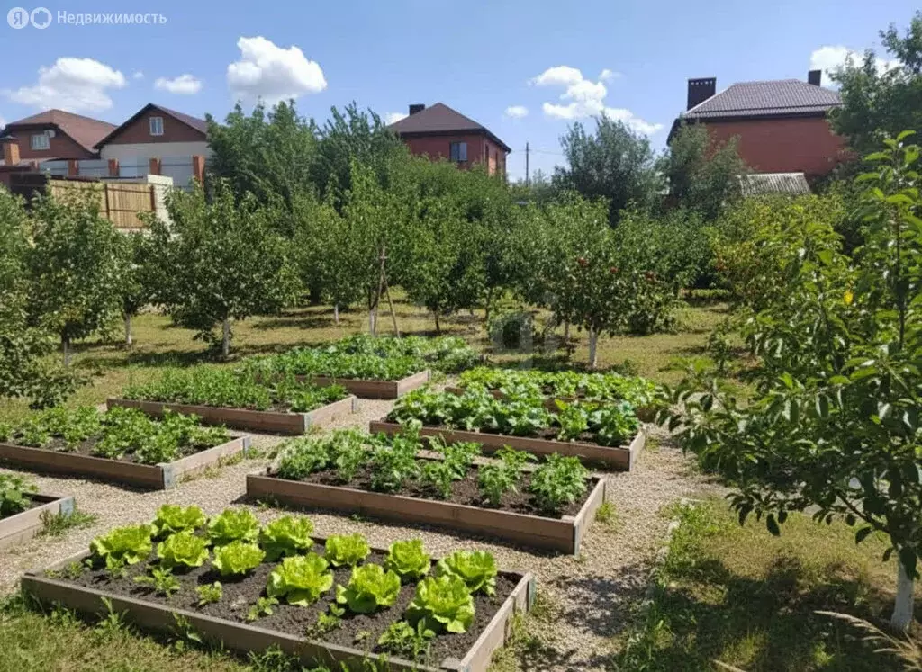 Участок в Ростов-на-Дону, садовое товарищество Луч, 3-я Лазерная улица ... - Фото 2