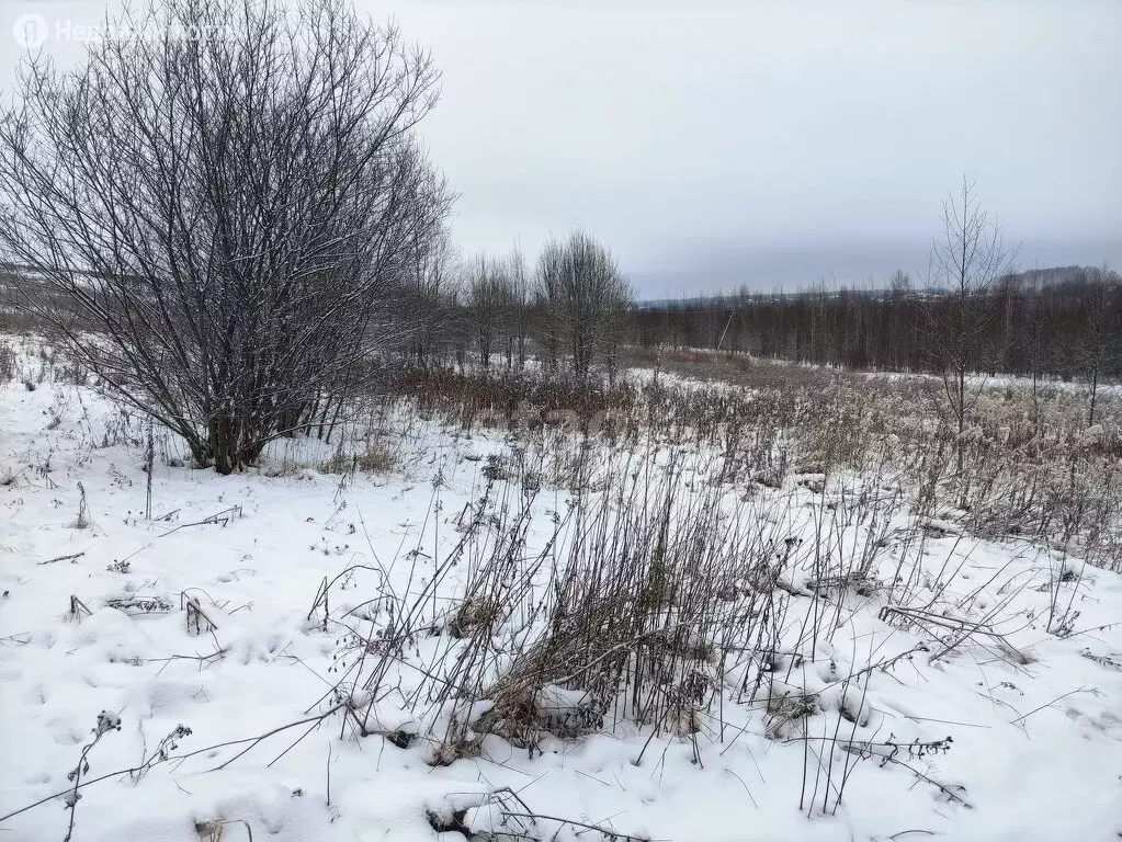 Земля дубровская. Дубровское Вологодский район.